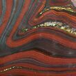 Polished Tiger Iron Stromatolite - ( Billion Years) #92978-1